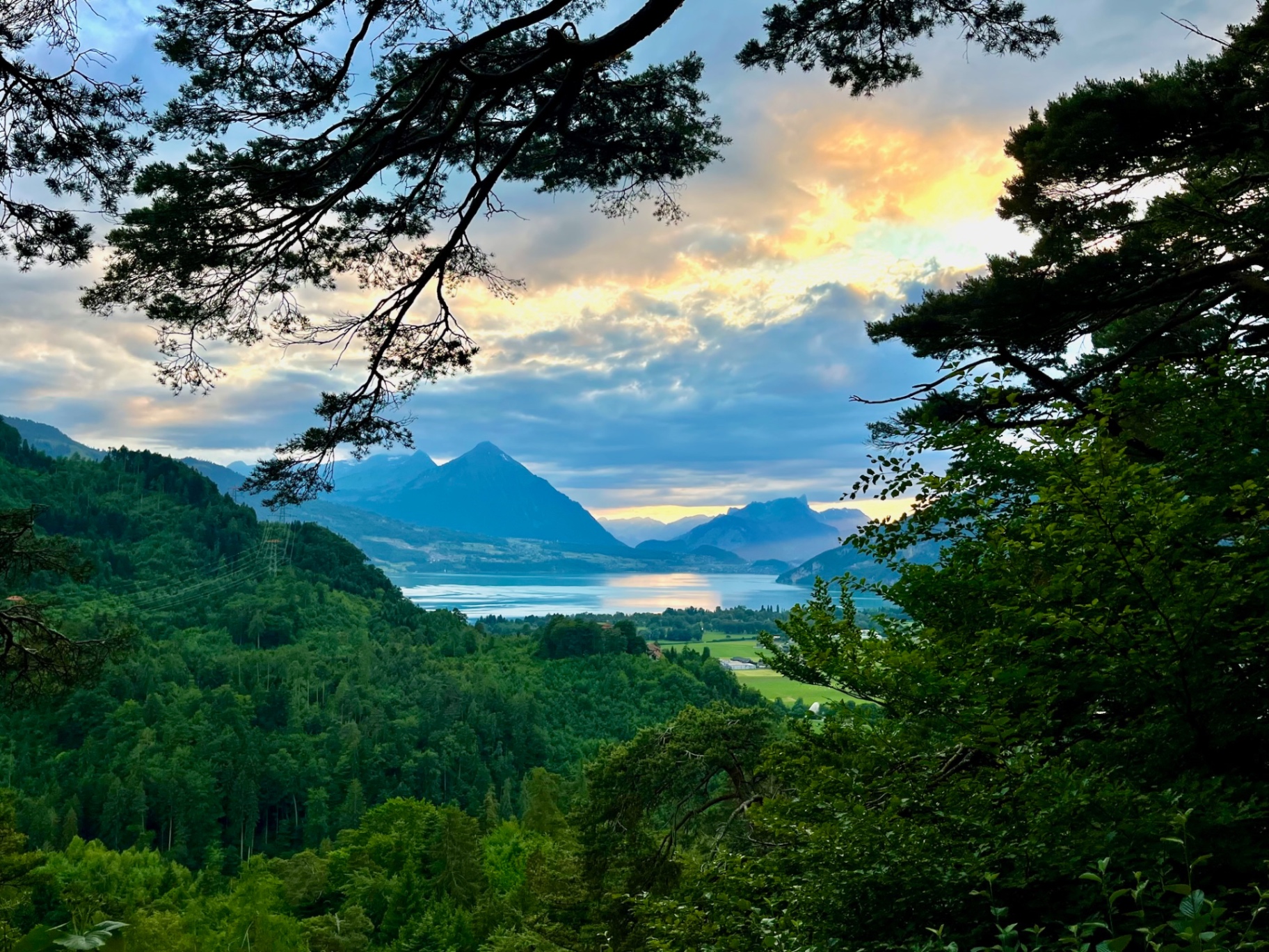 Spot 7: «A remnant of the Ice Age – A forest walk with premium views of the Jungfrau»
